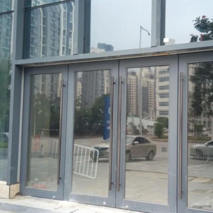 Curtain Wall Doors