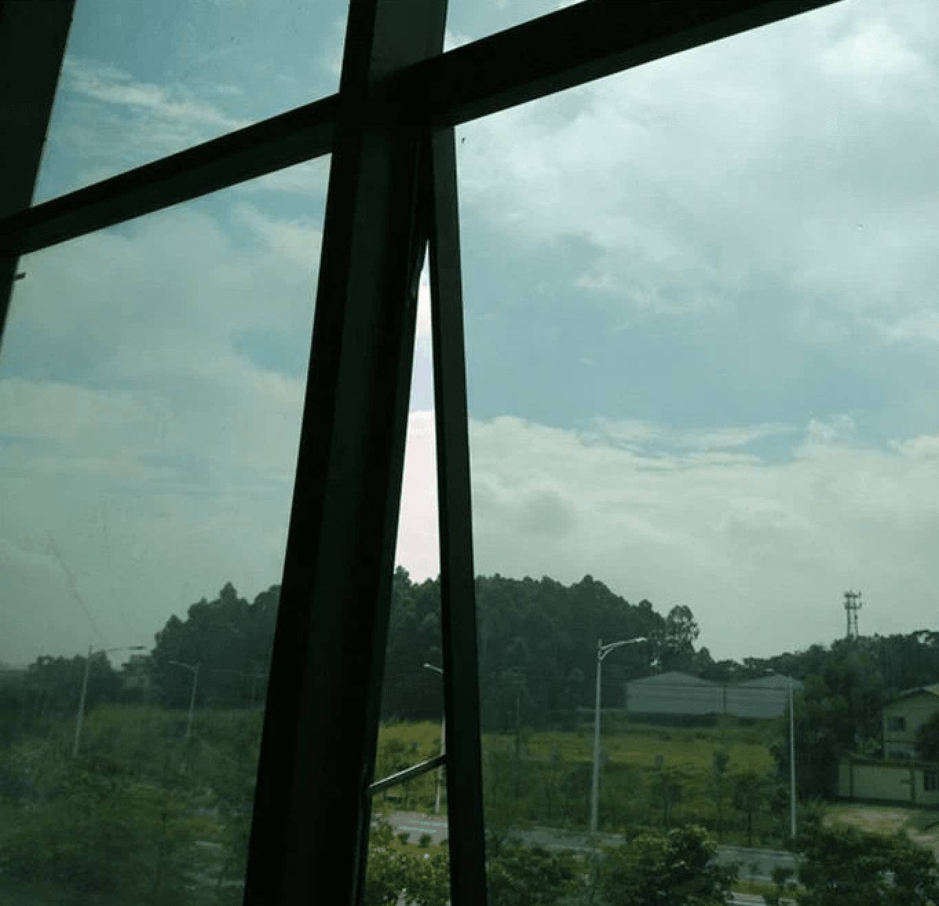 Curtain Wall Windows